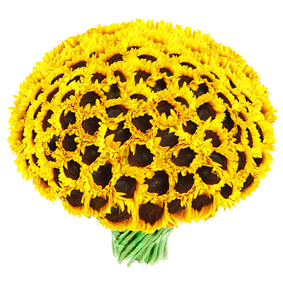 101 floarea-soarelui, buchet impresionant