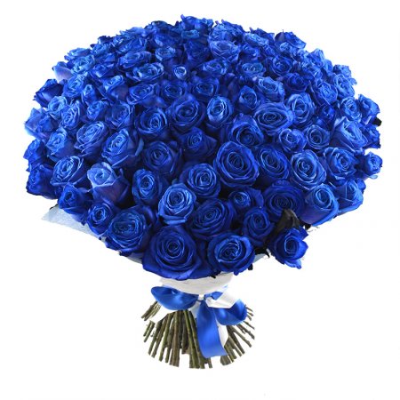 101 trandafiri albastri