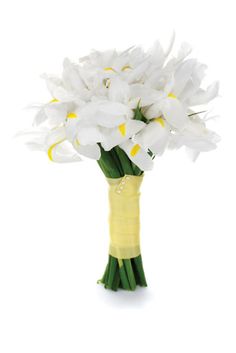 Buchet de 19 irisi albi