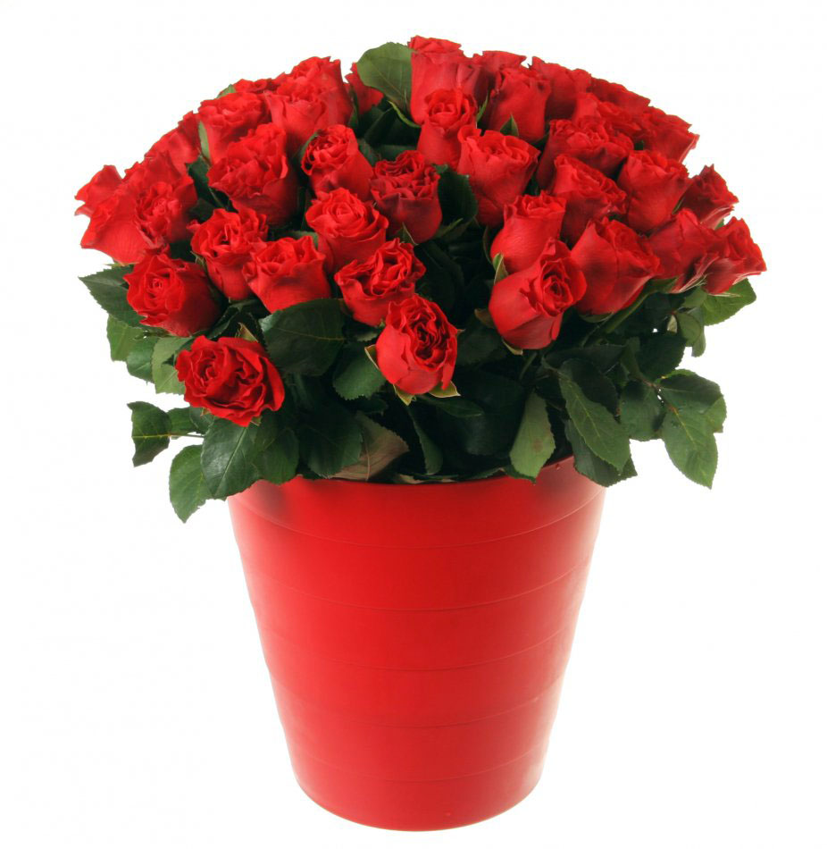 livrare trandafiri rosii in vaza