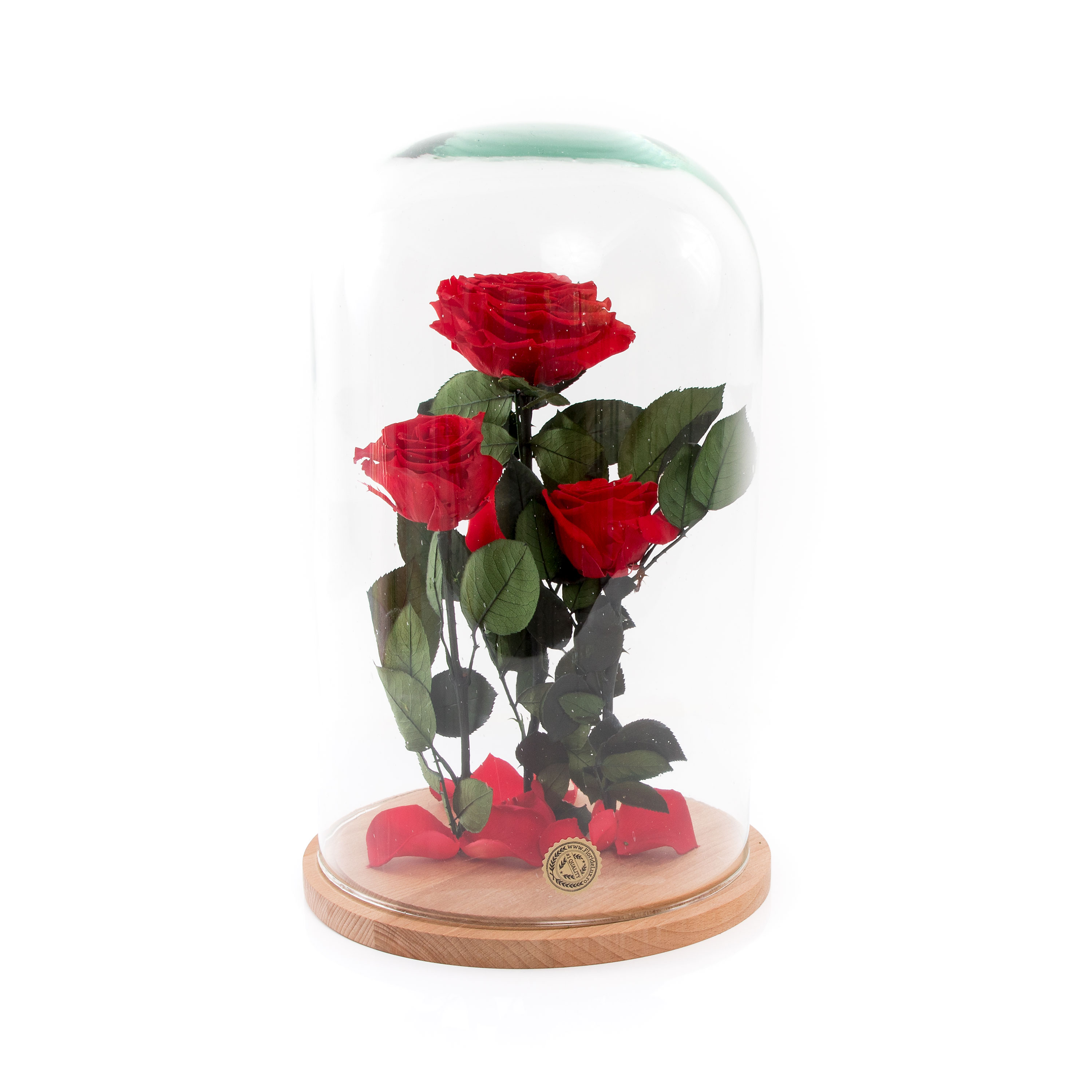 Cupola trandafiri The Touch of Love