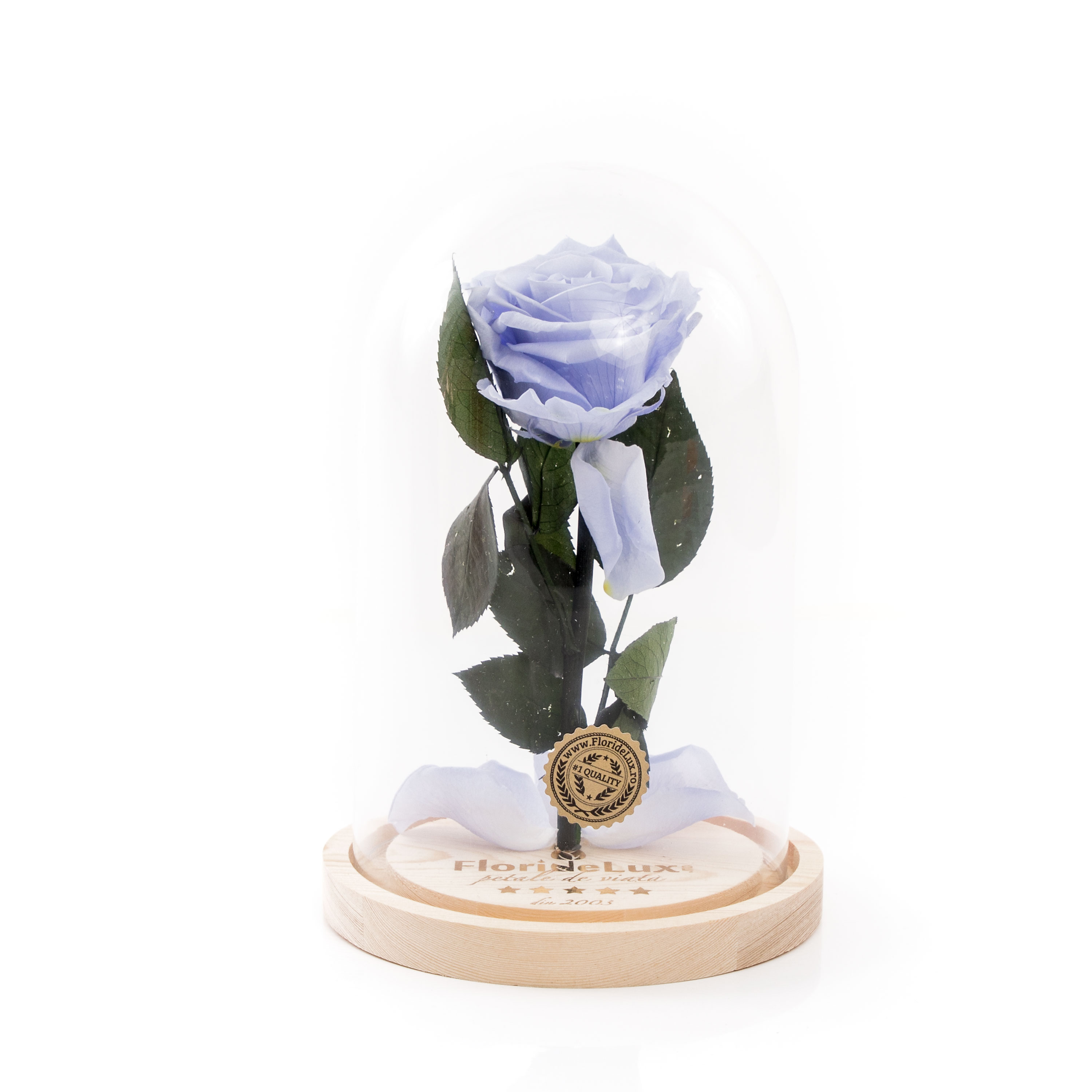 Cupola trandafir criogenat Lavender