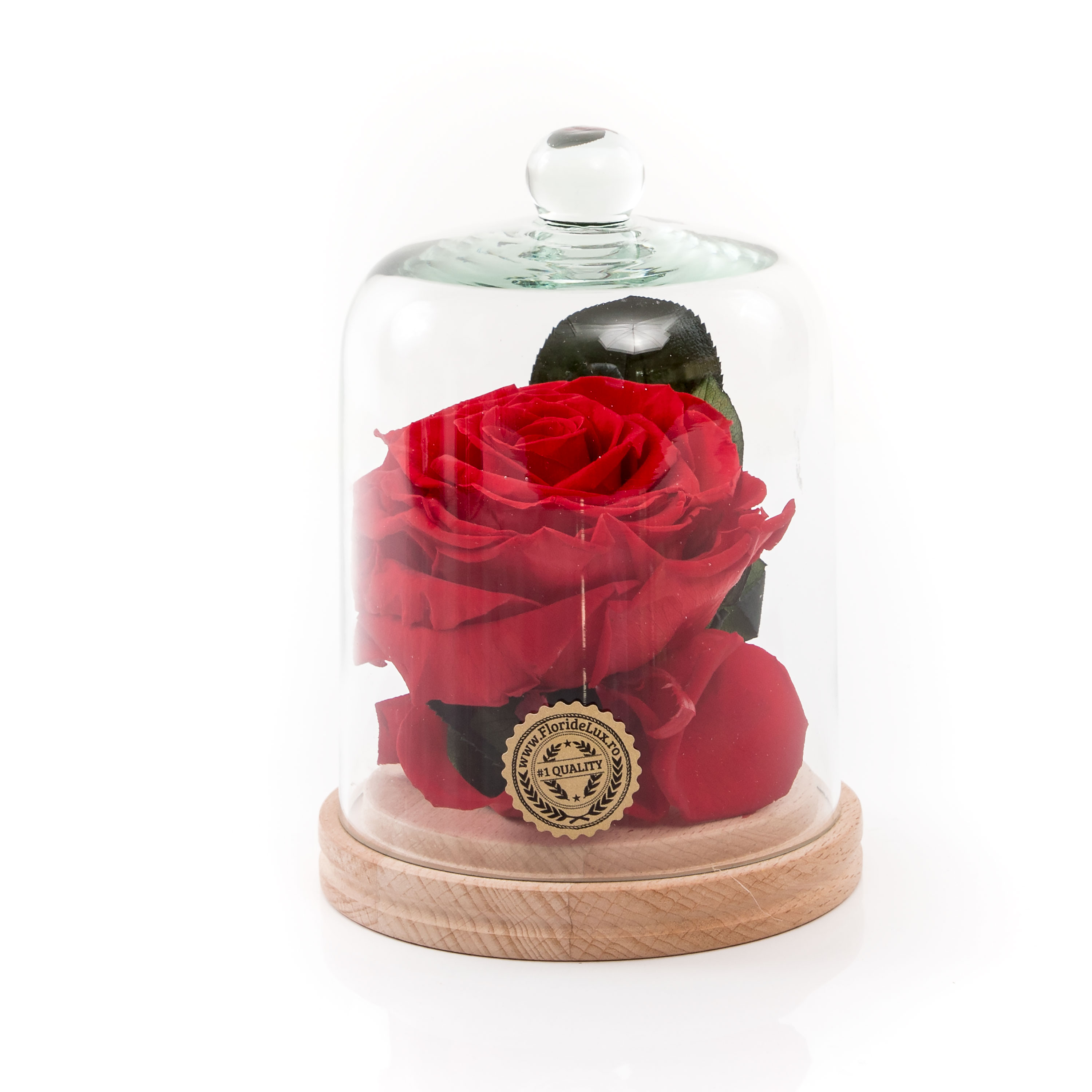 Cupola trandafir Mini Deluxe