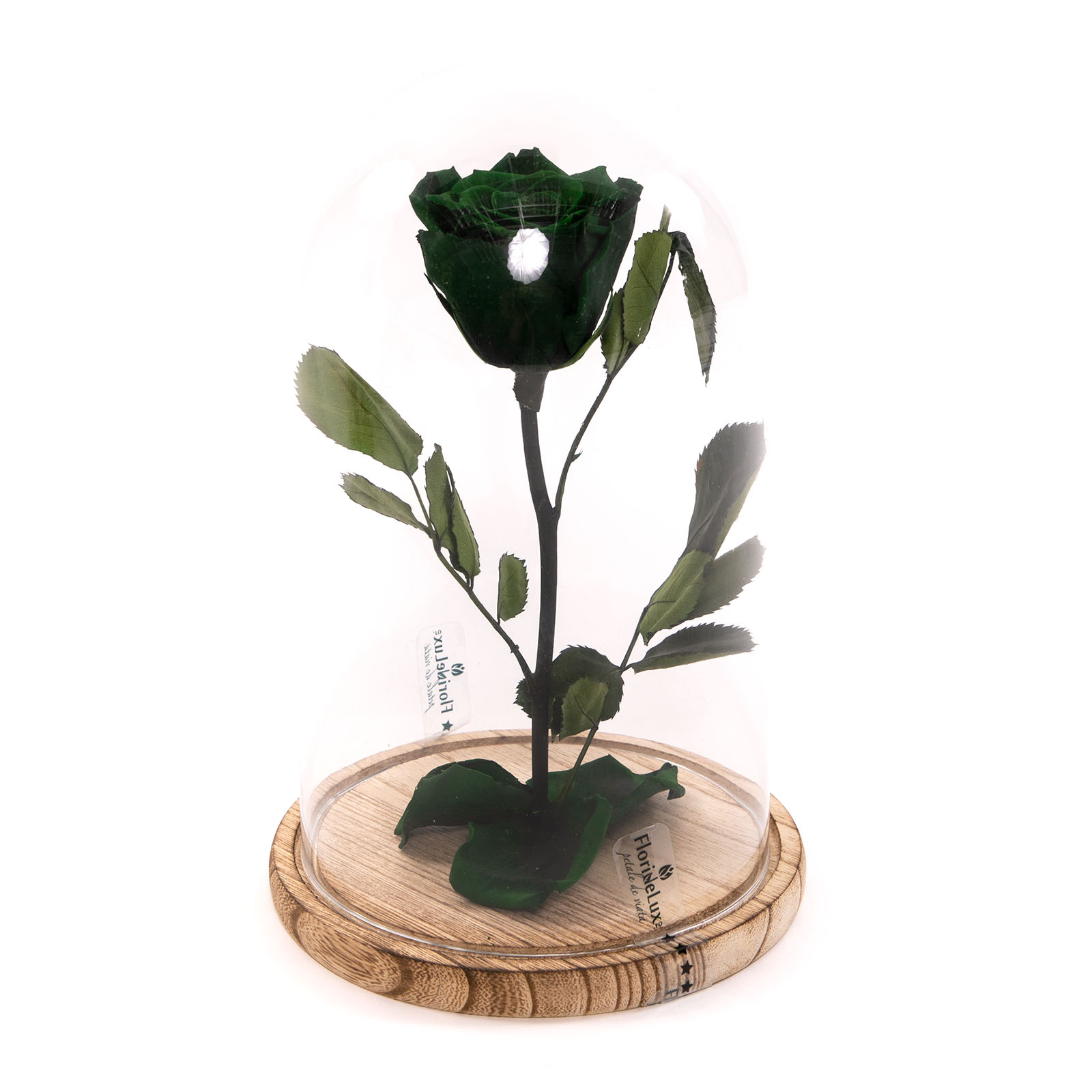 Trandafir criogenat verde inchis