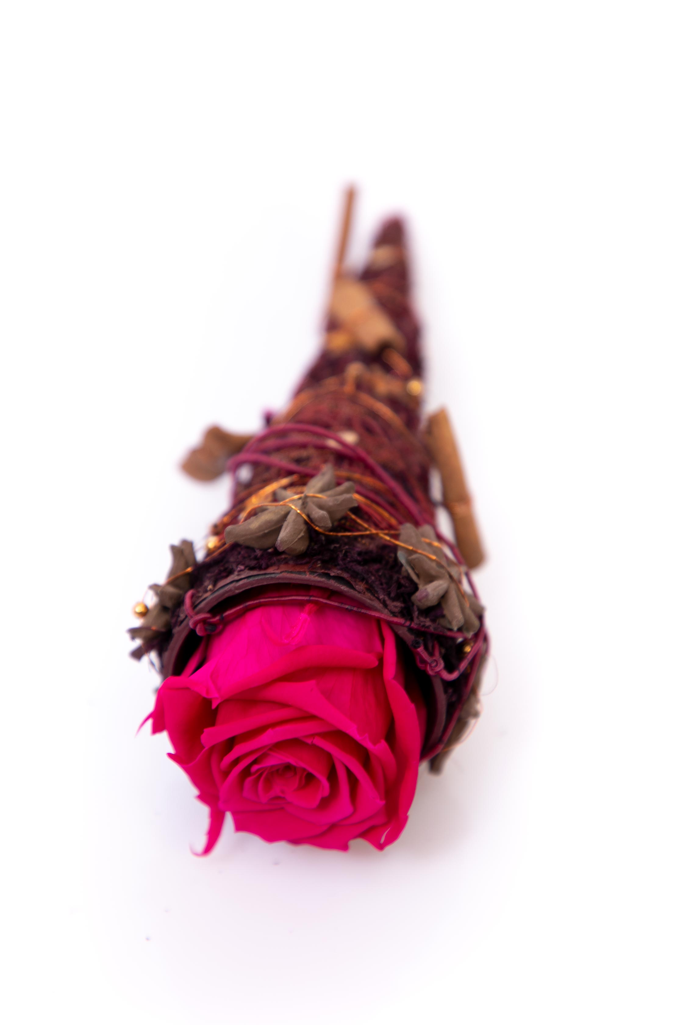 Trandafir criogenat cyclam in con cu scortisoara