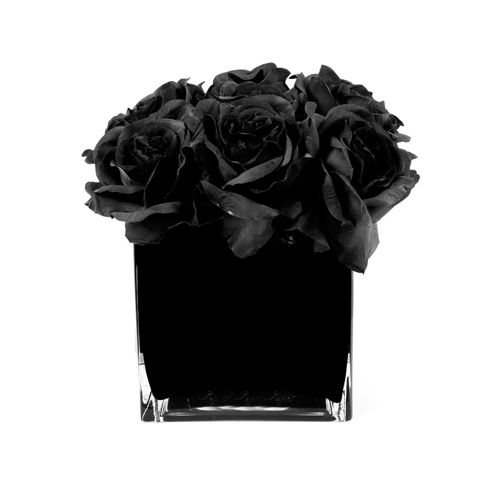 Trandafiri negri in cub negru
