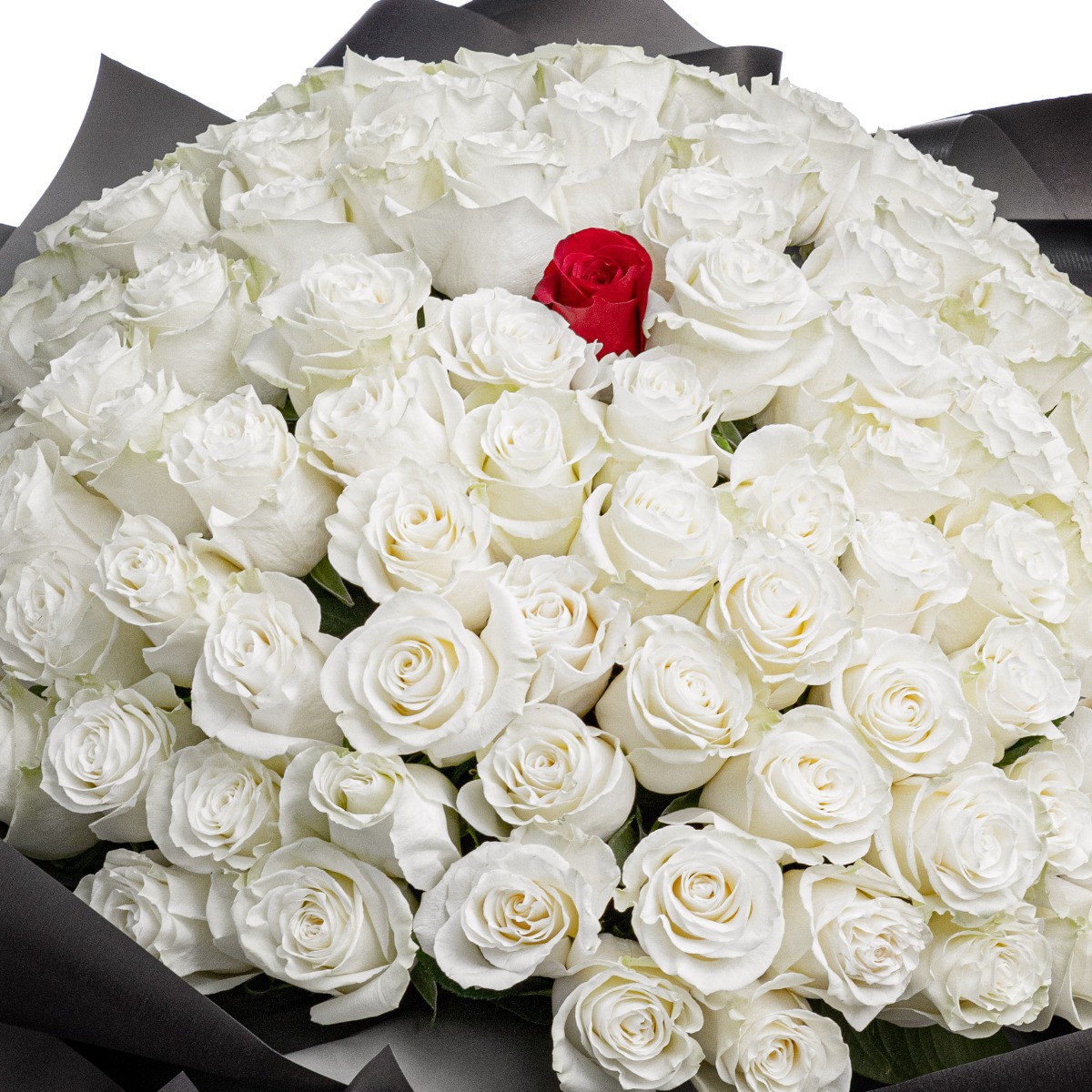 Buchet 100 trandafiri albi si unul rosu