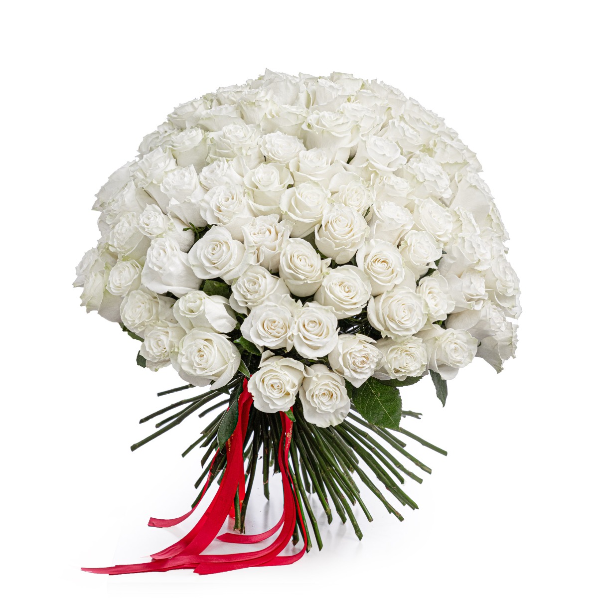 Buchet 101 trandafiri albi