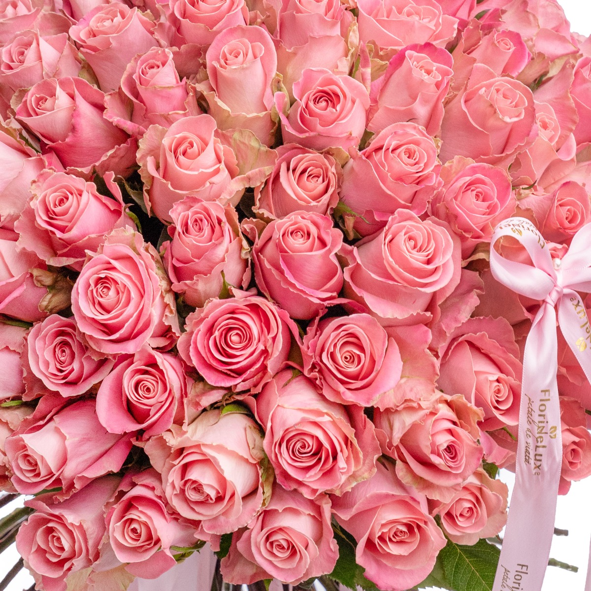Buchet 101 trandafiri roz