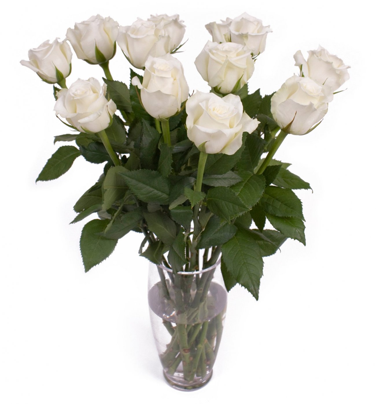 Buchet 11 trandafiri albi frumosi