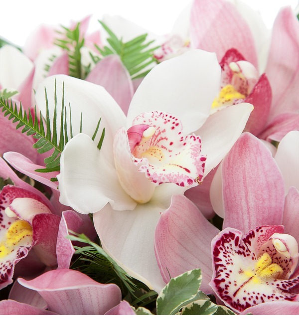 Buchet orhidee roz si orhidee alba