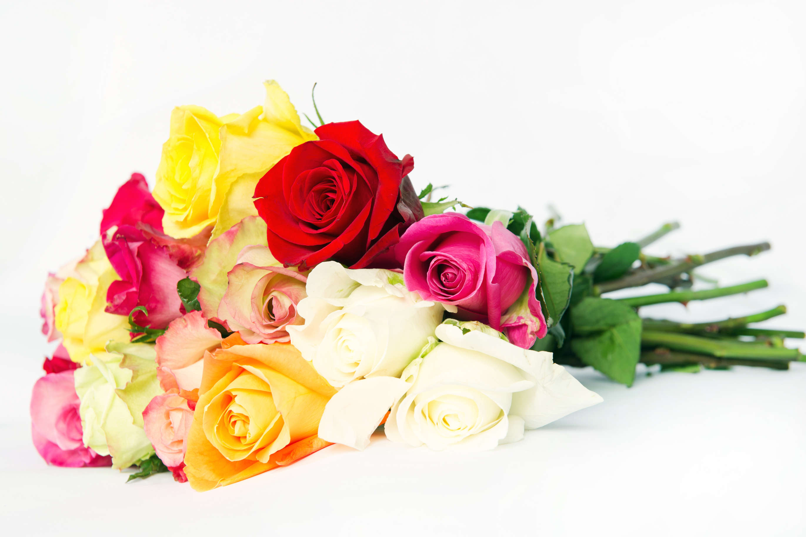 buchet de 11 trandafiri multicolori