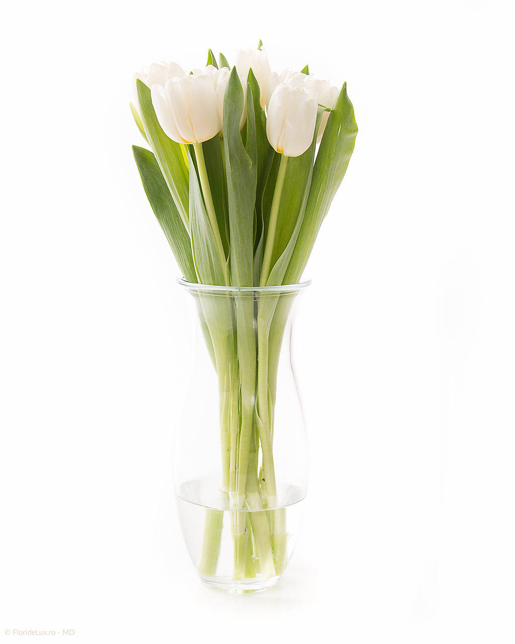 7 lalele albe in vaza