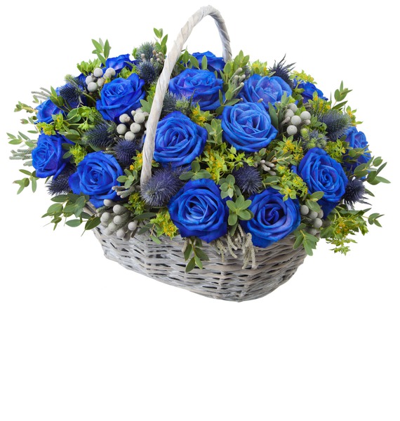 Cos cu trandafiri albastrii, cos cu 17 fire de trandafiri albastrii, livrare trandafiri albastrii