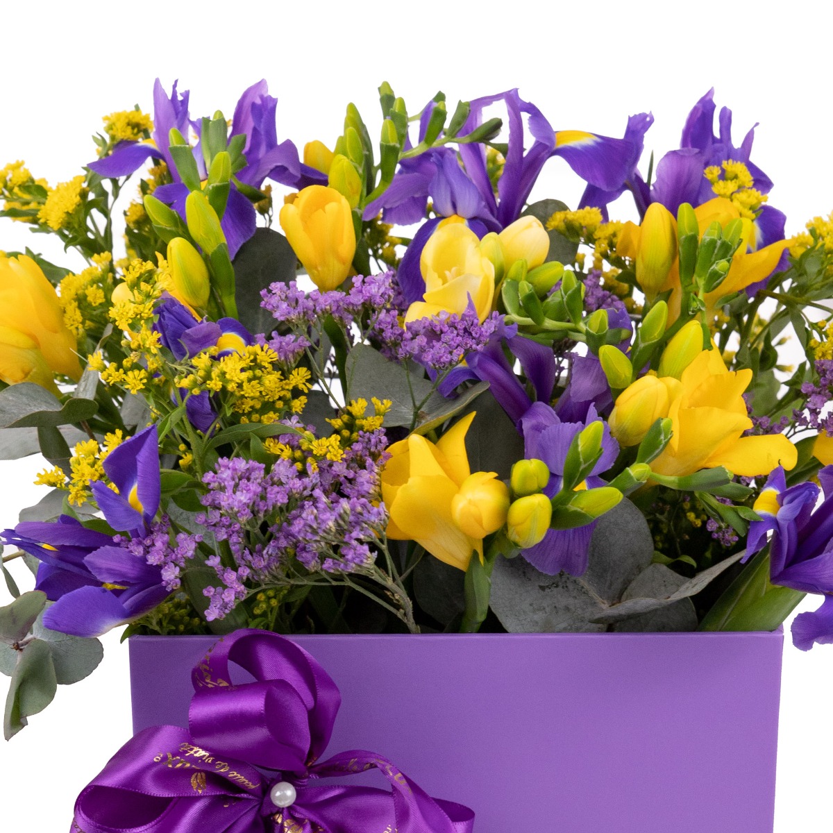Cutie frezii si iris Purple Happiness