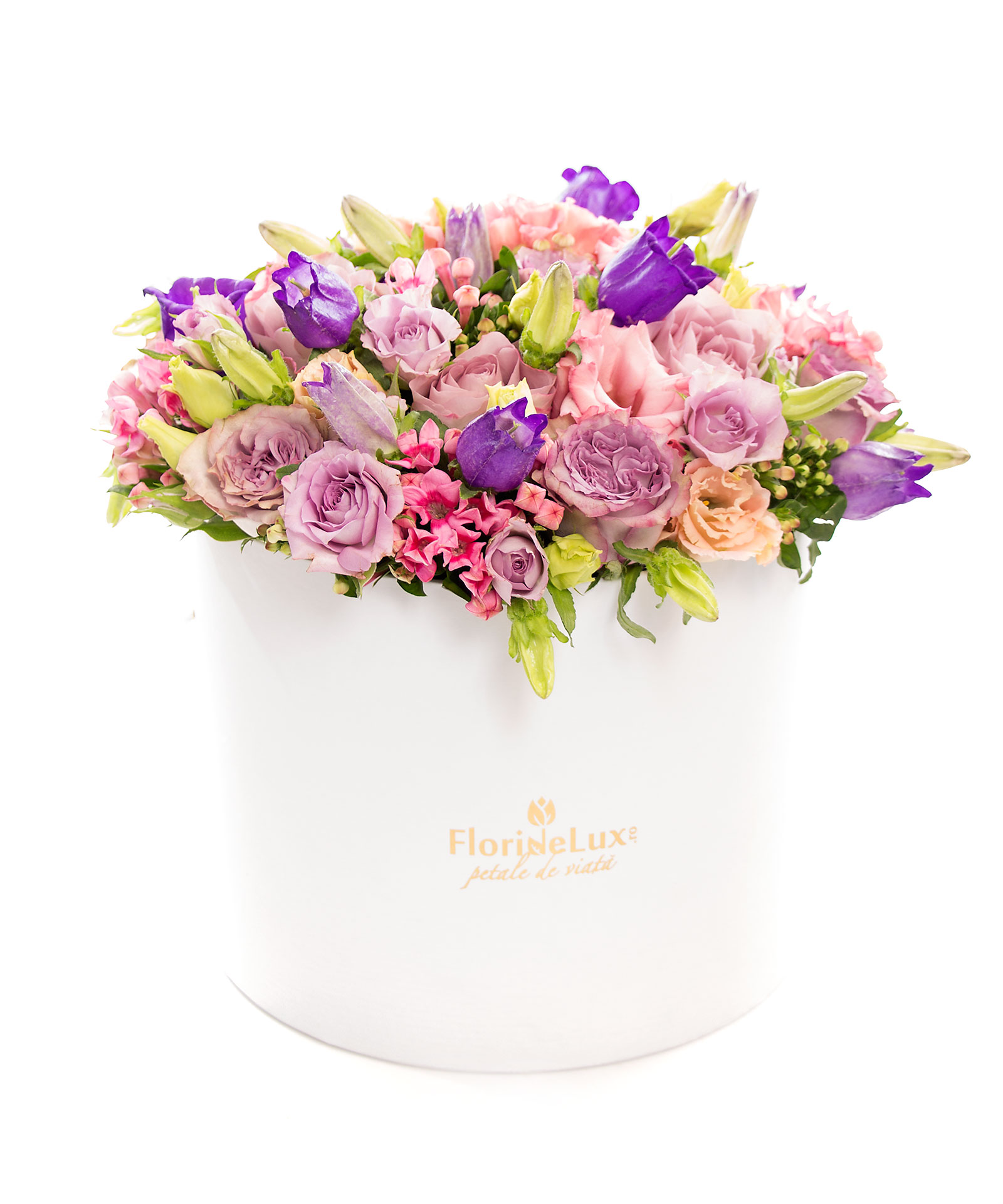 Cutie magnifica cu flori multicolore si Bollinger Rose