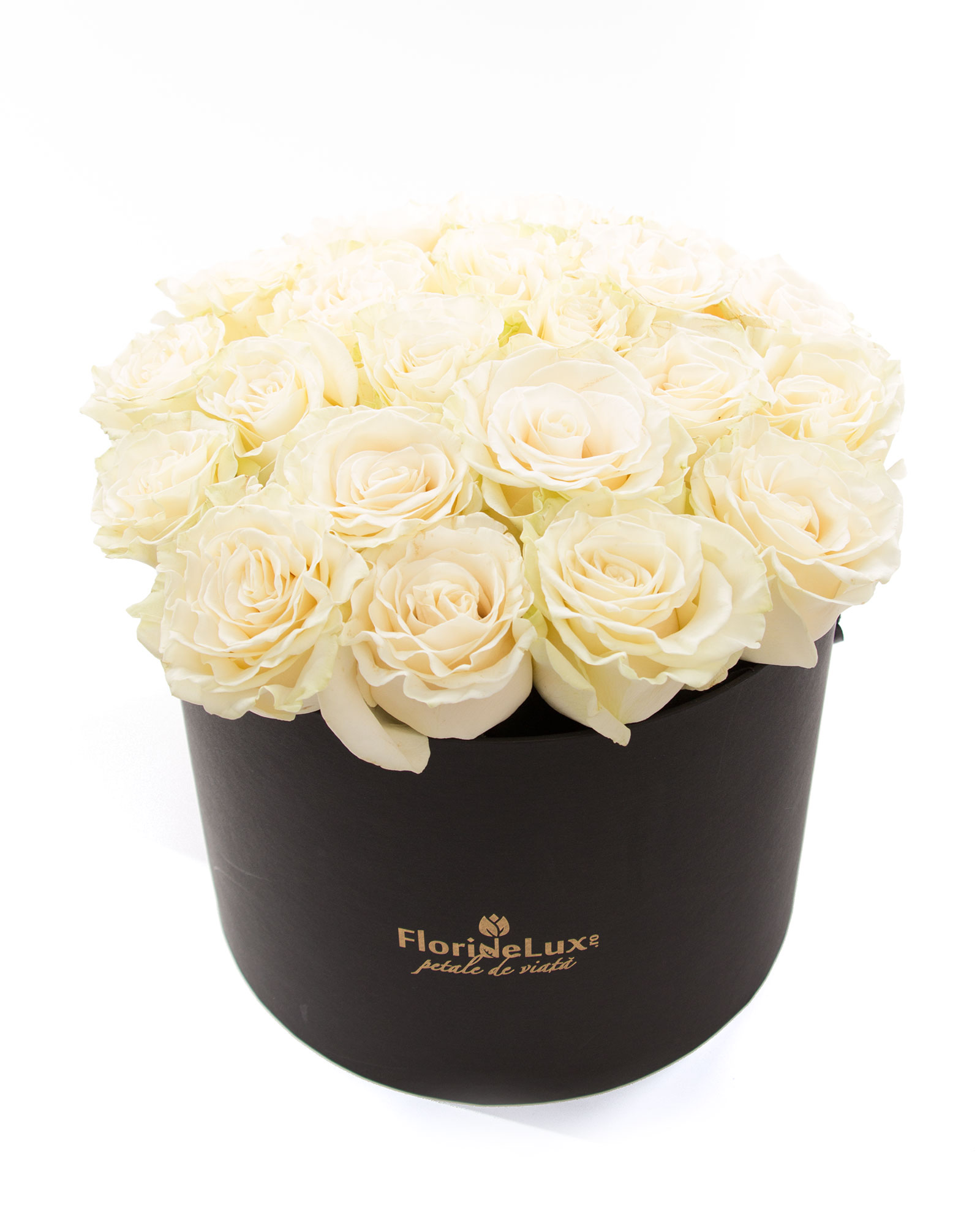 Cutie trandafiri albi Ecuador si Bollinger Rose
