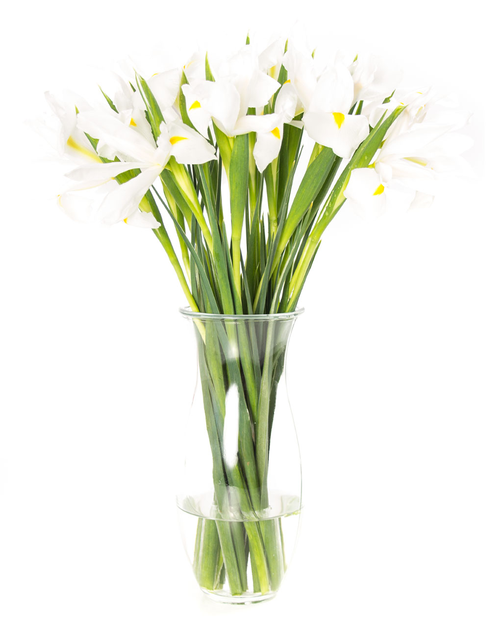 Buchet de 35 irisi albi
