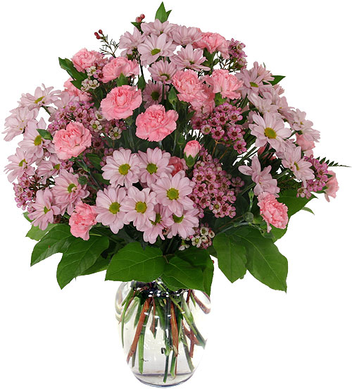 Buchet de 21 crizanteme roz