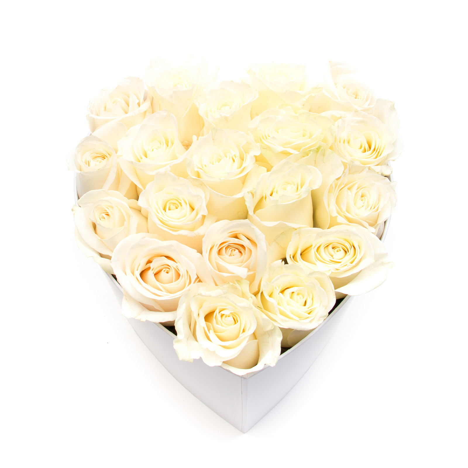 19 trandafiri albi in cutie de lux