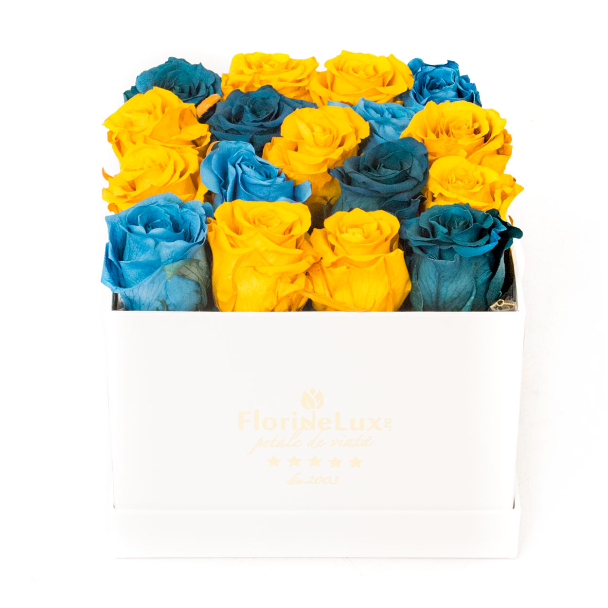  trandafiri conservati albastri si galbeni