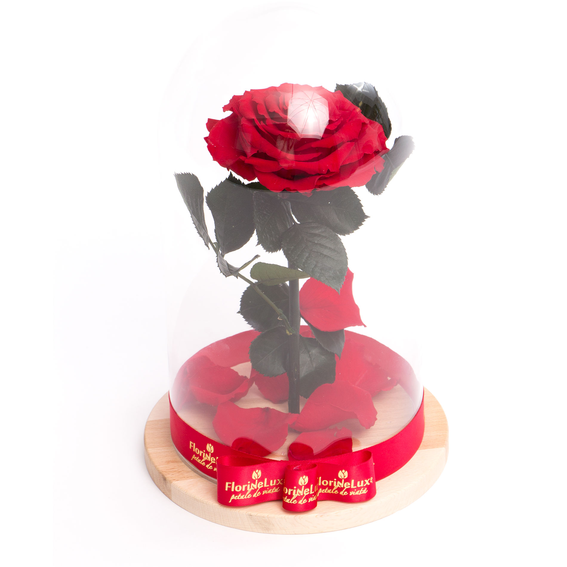 Cupola trandafir criogenat cu tulpina si sampanie