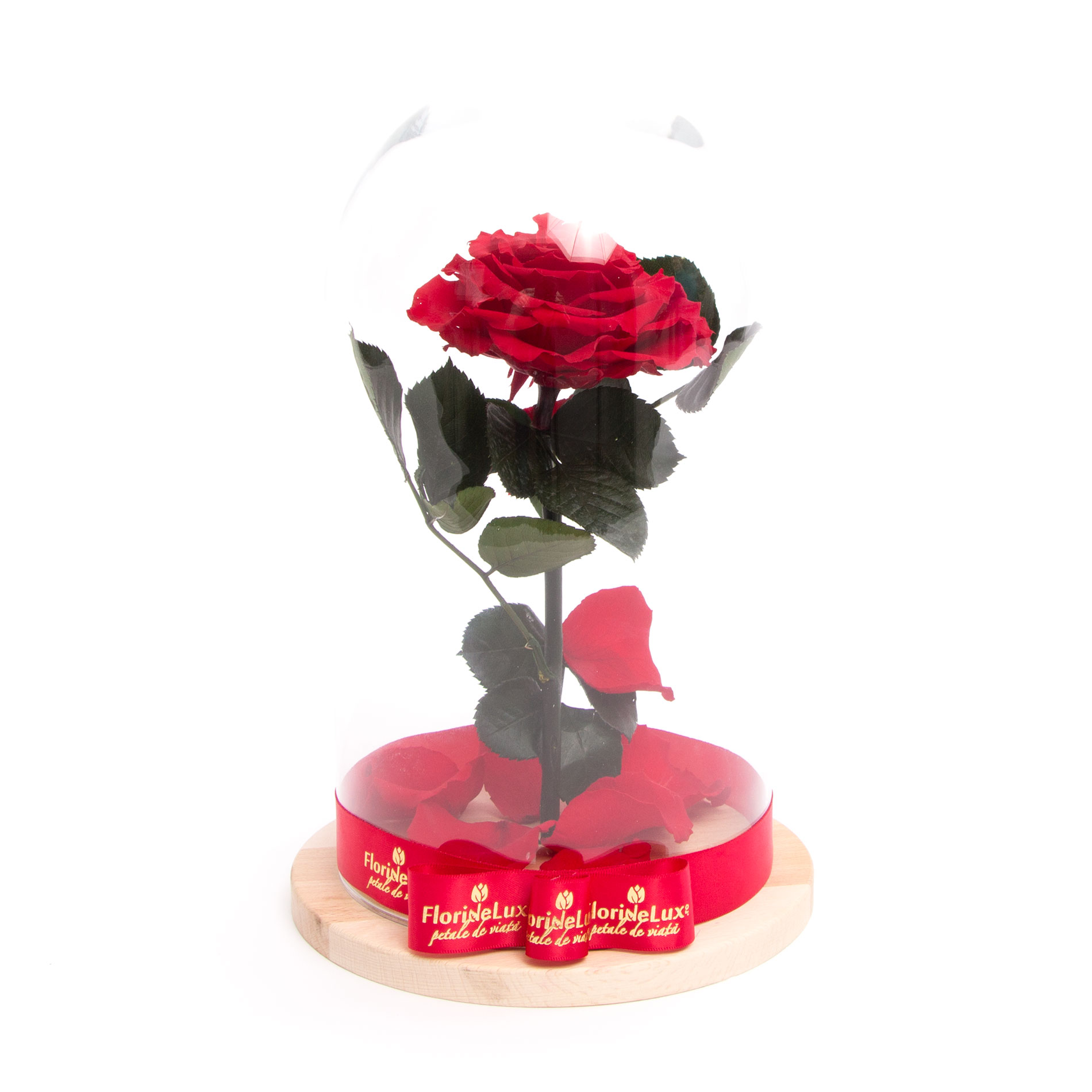 Cupola trandafir criogenat cu tulpina