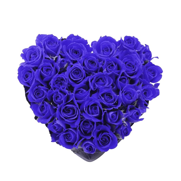 Inima trandafiri albastri