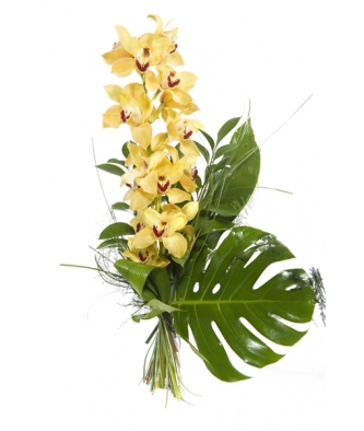 buchet orhidee imperiala
