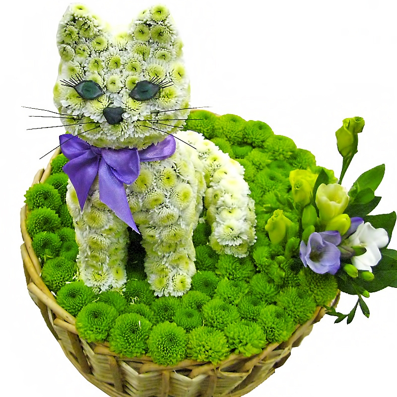 pisicuta din flori