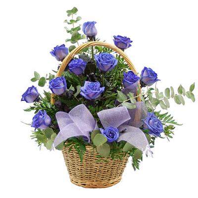 Trandafiri albastri in cos - un cos florentin de 15 trandafiri albastri