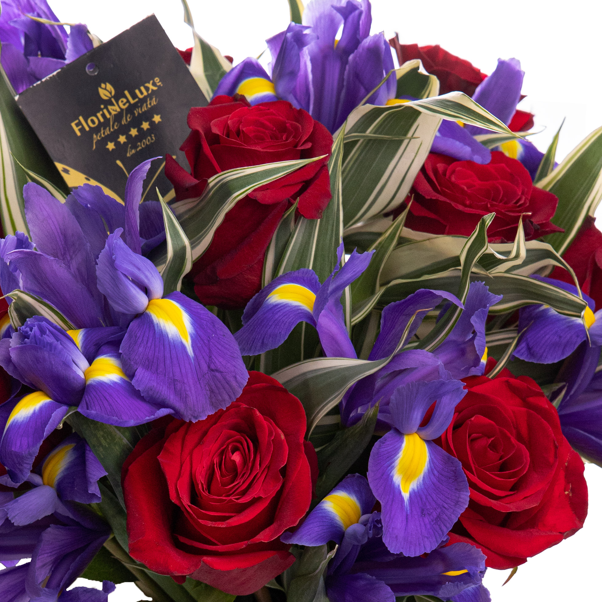 Irisi albastri si trandafiri rosii
