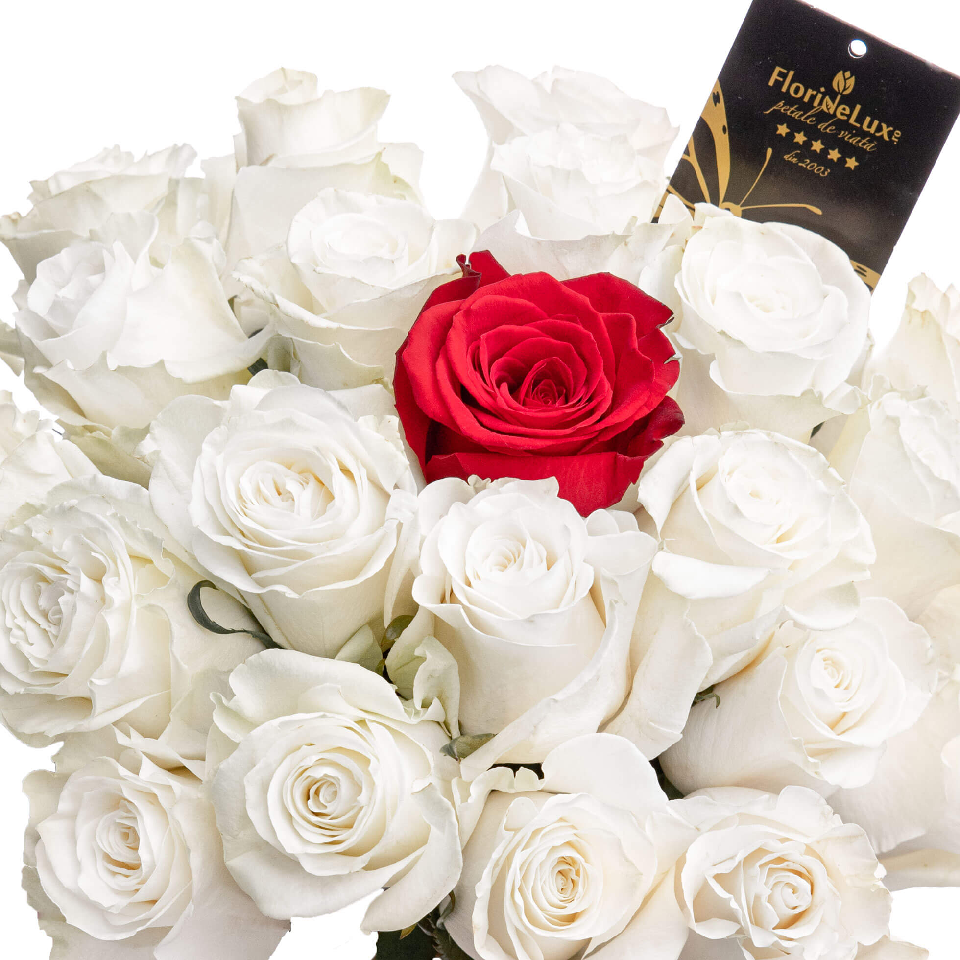 Buchet trandafiri albi si unul rosu