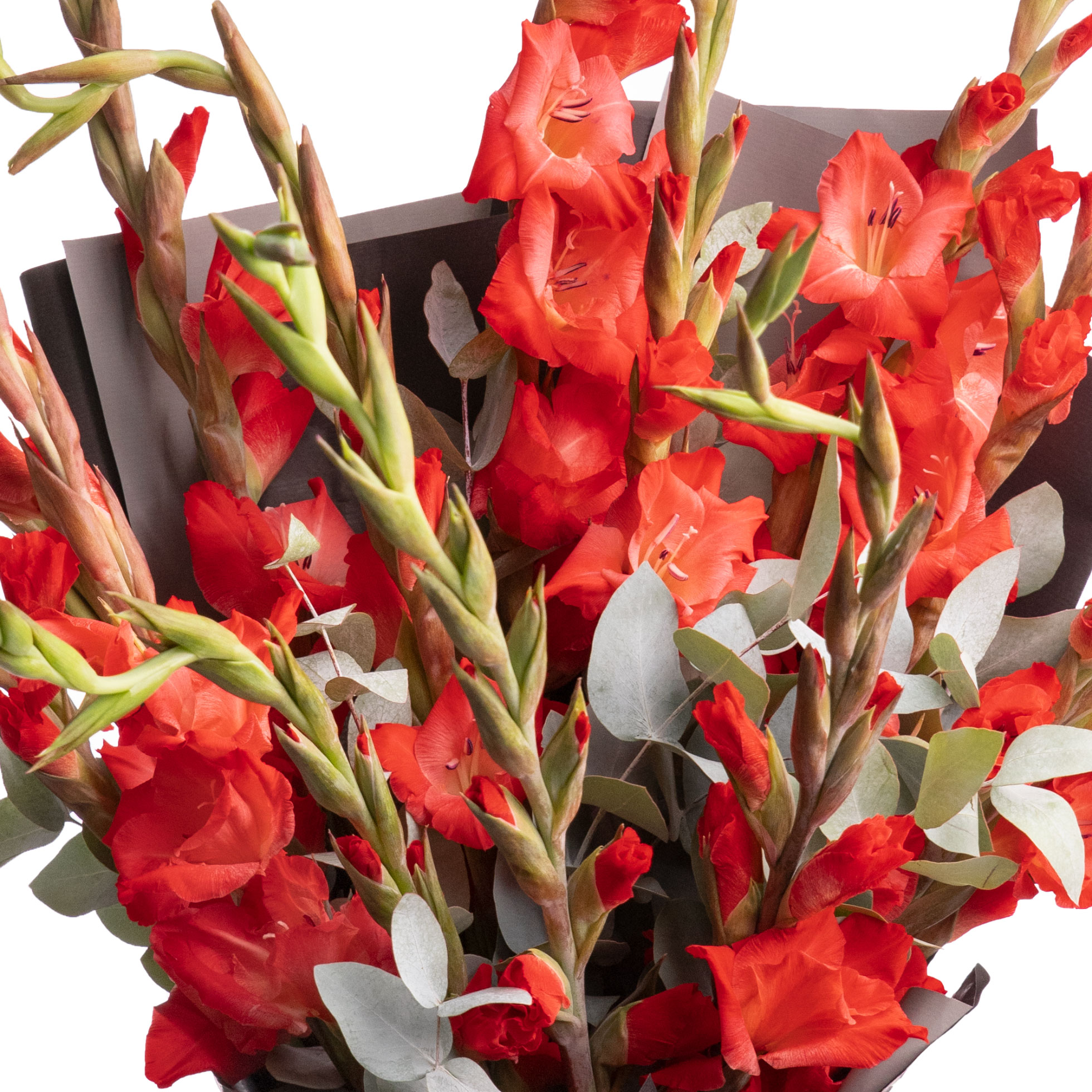 Buchet gladiole rosii
