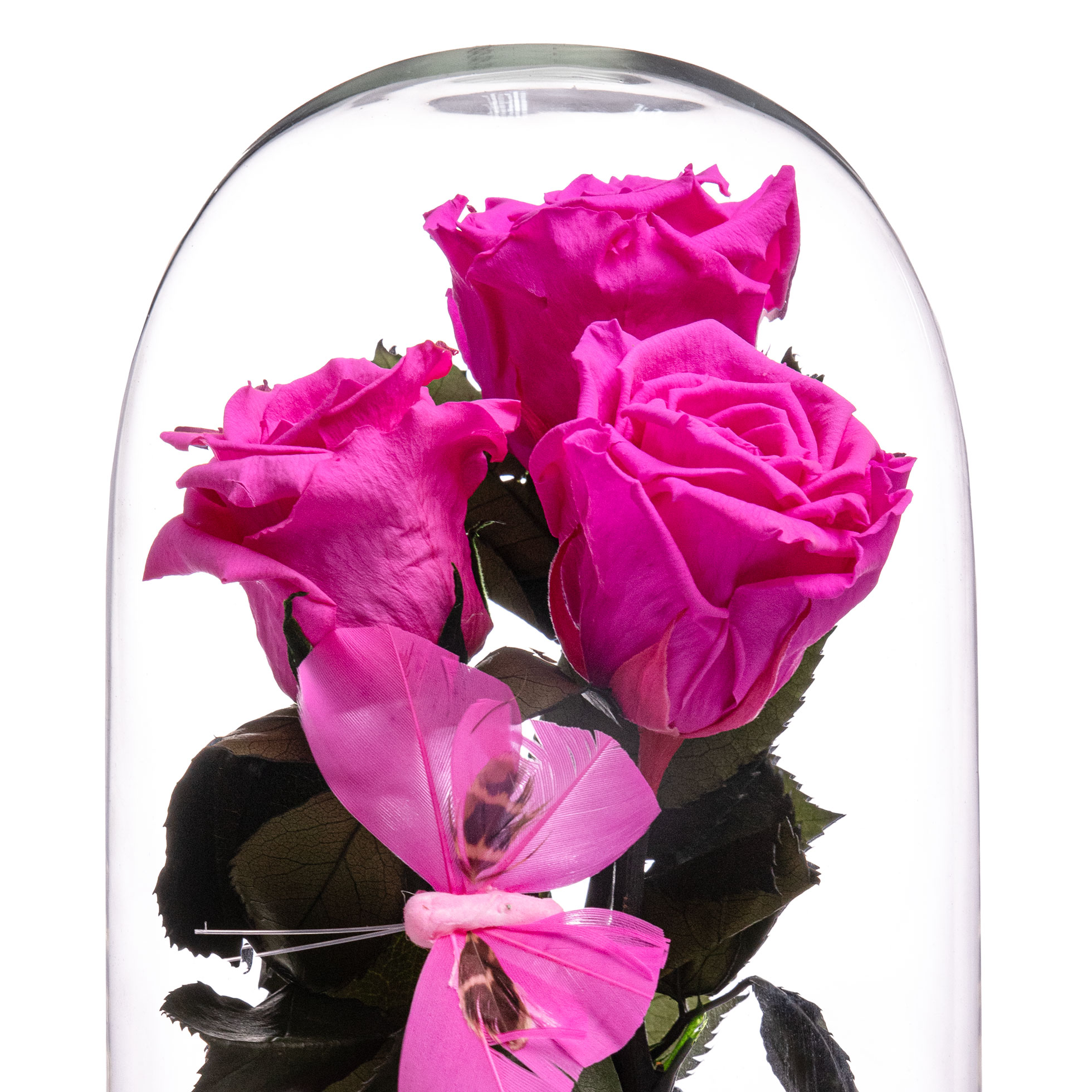 Cupola cu 3 trandafiri criogenati roz si accesorii