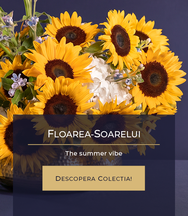 Buchete Floarea Soarelui