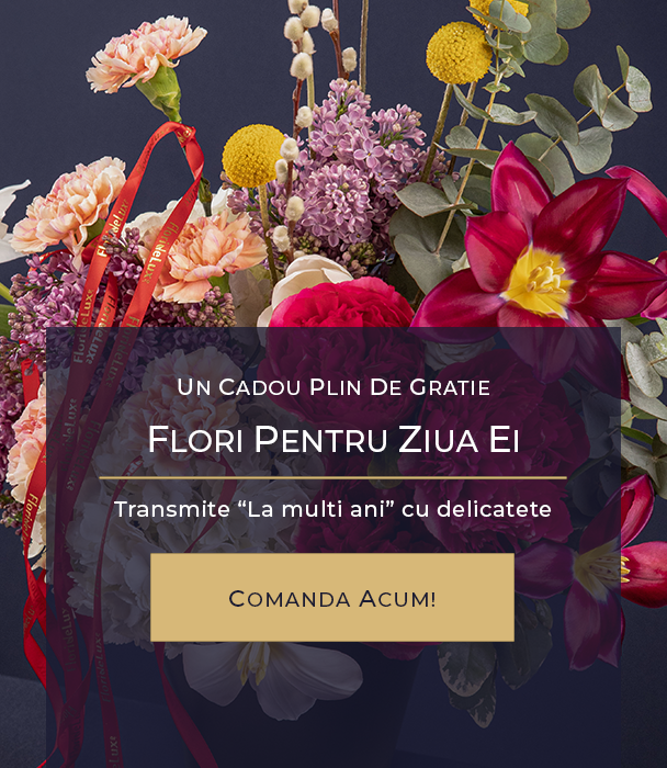 Buchete de flori cadou pentru zi de nastere