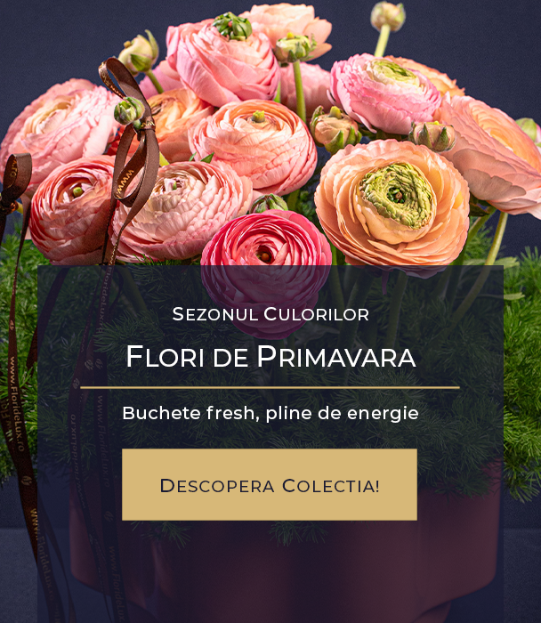  Flori de Primavara