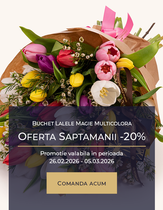 Buchet lalele magie multicolora