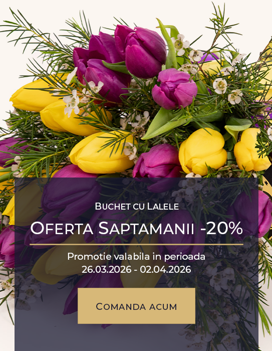 Buchet cu lalele "Manunchi de primavara"
