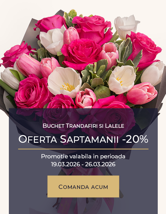 Buchet trandafiri si lalele „Cotton Candy”