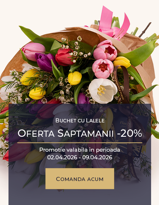 Buchet lalele magie multicolora