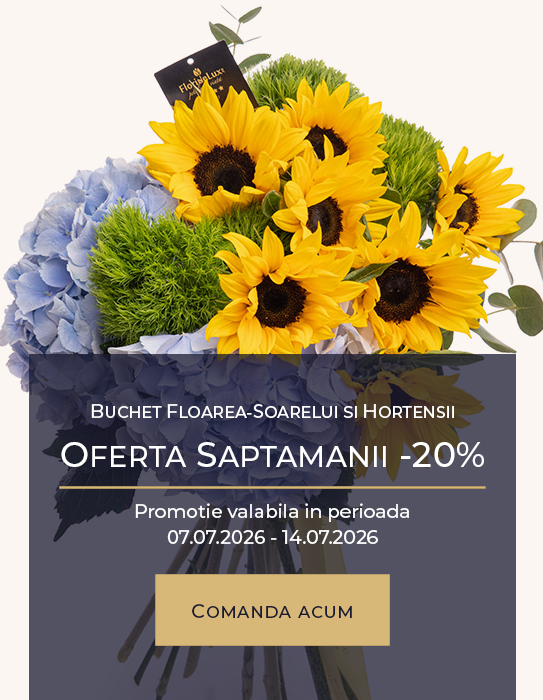 Buchet floarea-soarelui si hortensii Majestic Sunshine