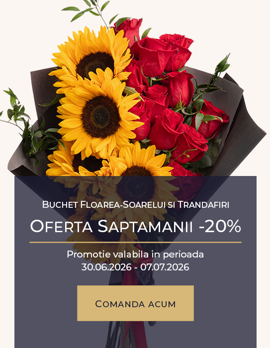 Buchet floarea-soarelui si trandafiri rosii