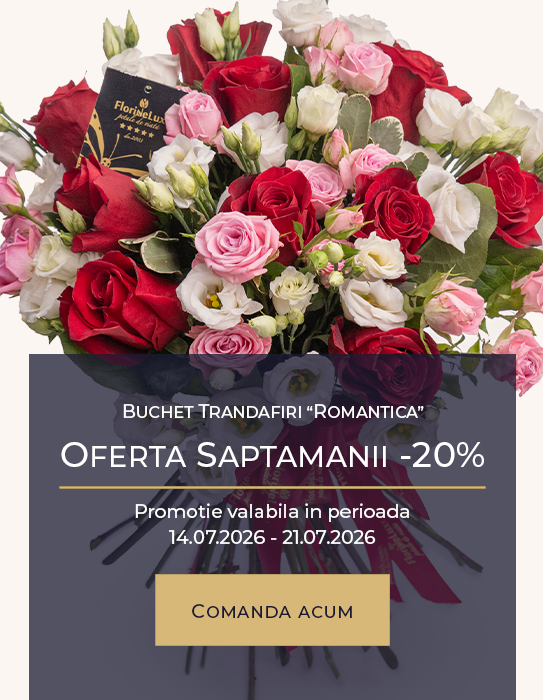 Buchet trandafiri "Romantica"