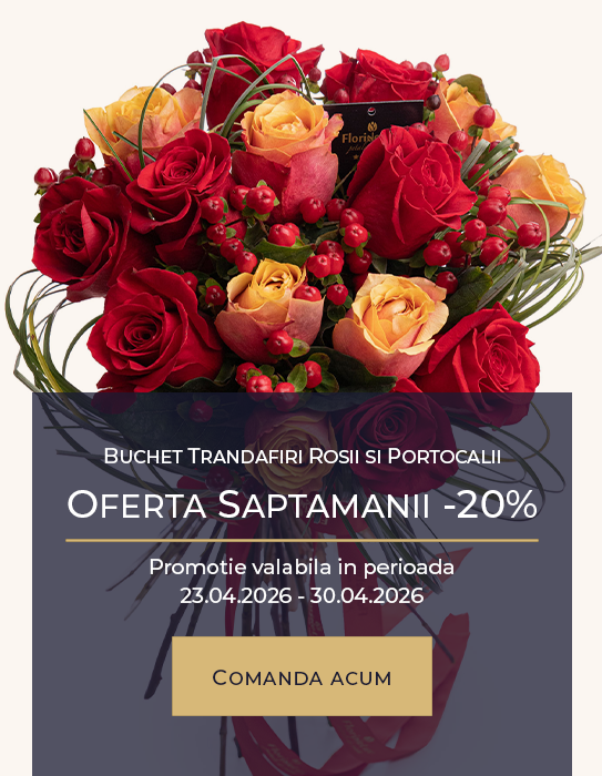 Buchet trandafiri rosii si portocalii plin de sentimente