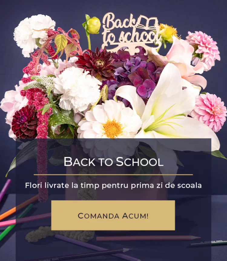 Back to school