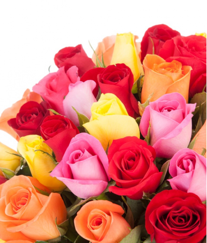 Buchet 35 trandafiri multicolori