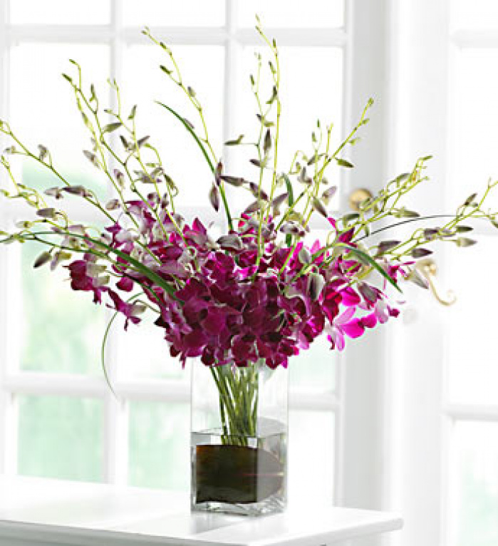 Buchet dendrobium mov – imaginea 1