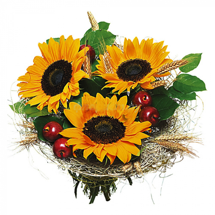 Buchet floarea soarelui rustic